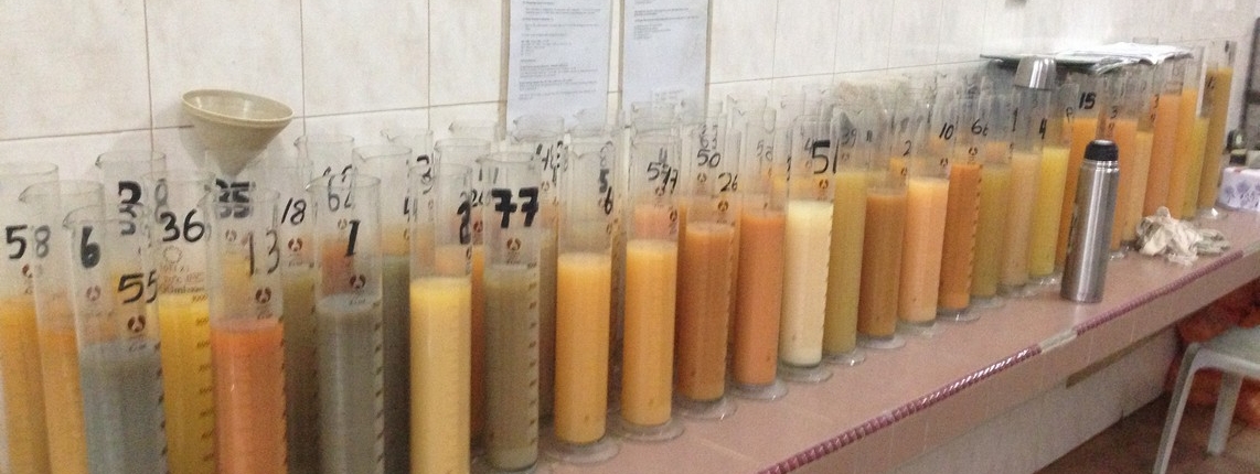 particlesize-hydrolisis Particle Size Distribution